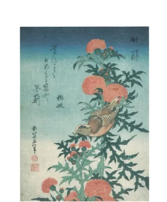 Hokusai print - Crossbill and Thistle Hokusai print - Crossbill and Thistle